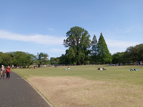 気学〜エッセイの写真1